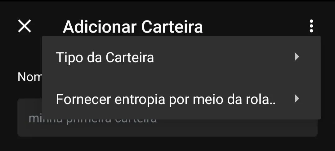 Passo 4 para criar carteira de Bitcoin: Fornecer entropia